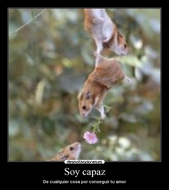 Soy capaz -