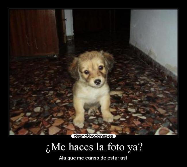 ¿Me haces la foto ya? -