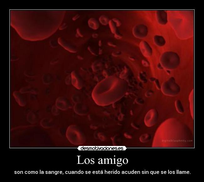 carteles sangre blood amigos friends desmotivaciones