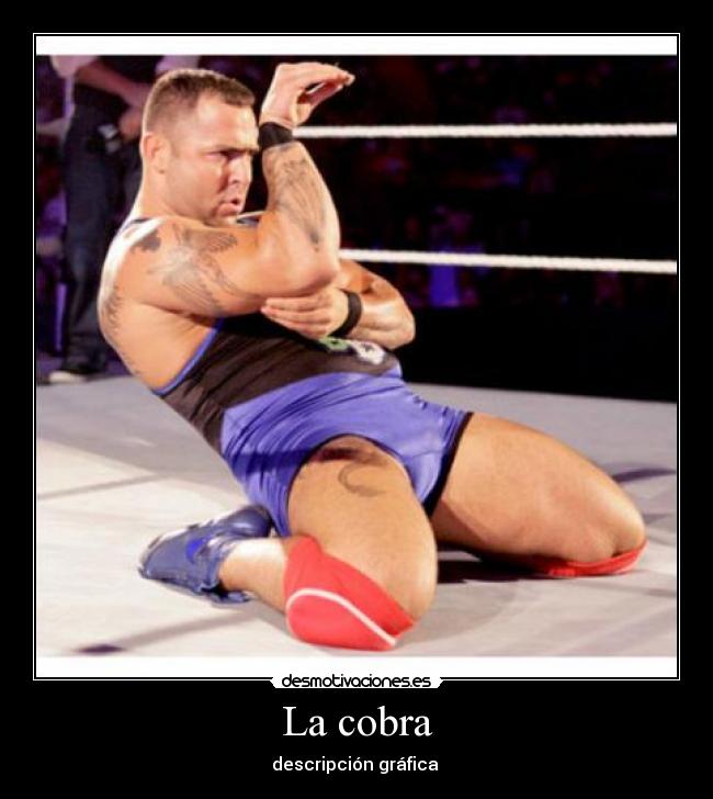 La cobra - descripción gráfica