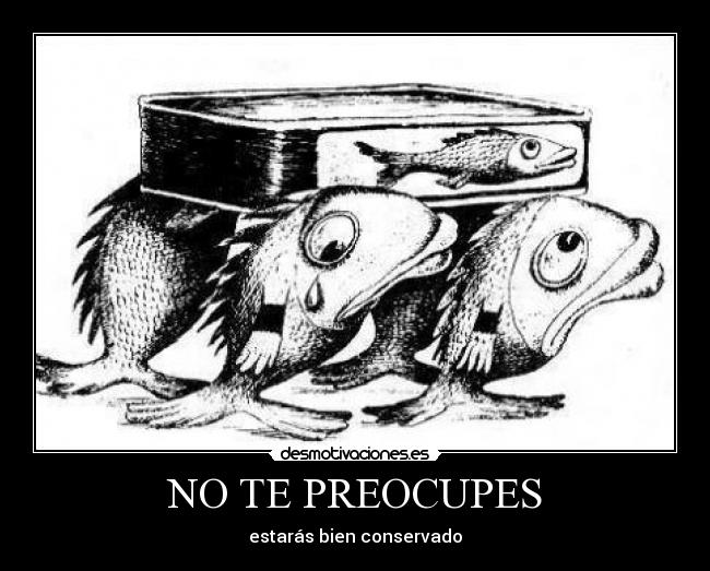 NO TE PREOCUPES - 