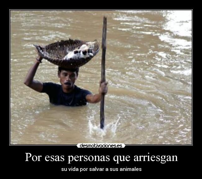 Por esas personas que arriesgan - 