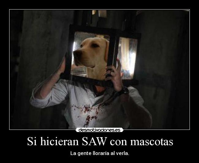 carteles mas chulo que gitano con unas arpargatas nuevas desmotivaciones