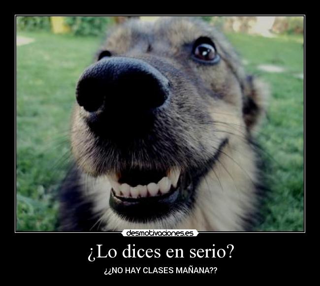 ¿Lo dices en serio? - 