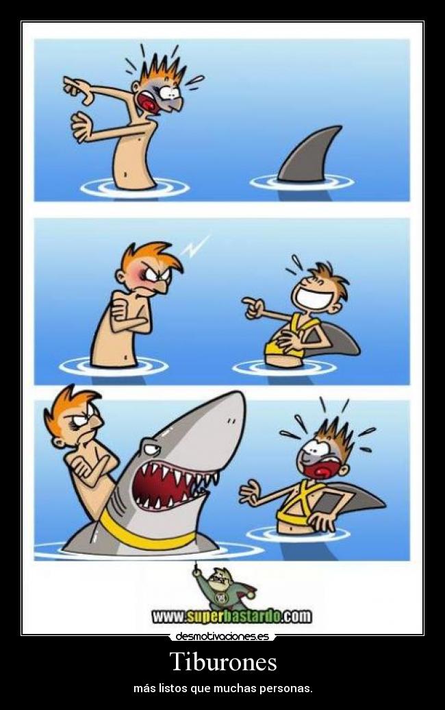 Tiburones - más listos que muchas personas.