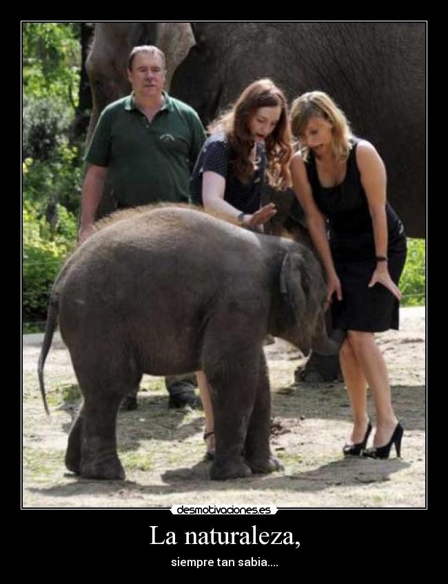 La naturaleza, - siempre tan sabia....
