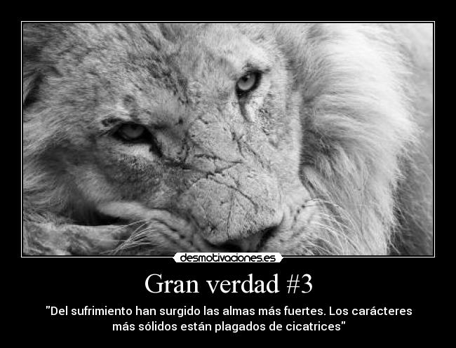 Gran verdad #3 - 