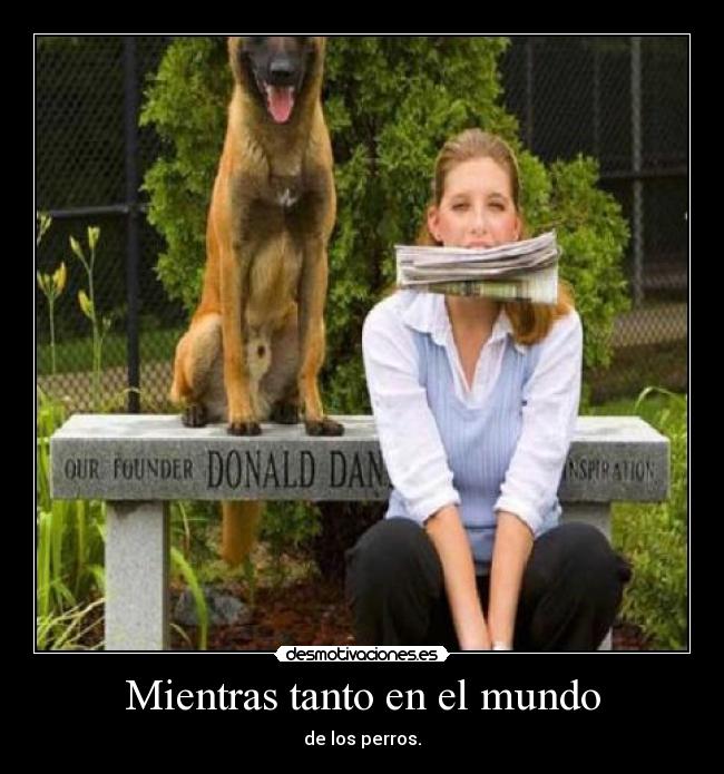 carteles mundo fuck perro desmotivaciones