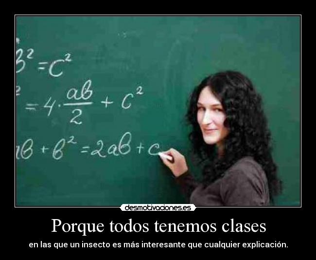 Porque todos tenemos clases - en las que un insecto es más interesante que cualquier explicación.