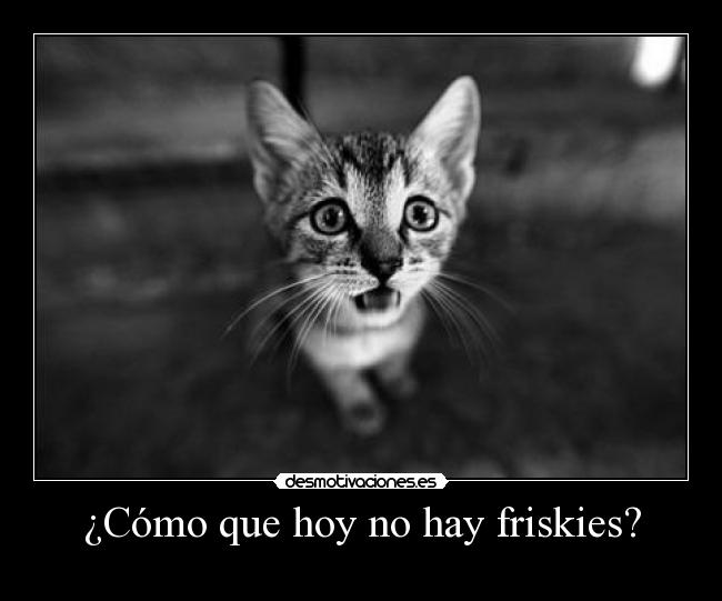 ¿Cómo que hoy no hay friskies? - 