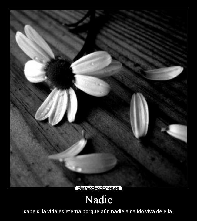 Nadie - 