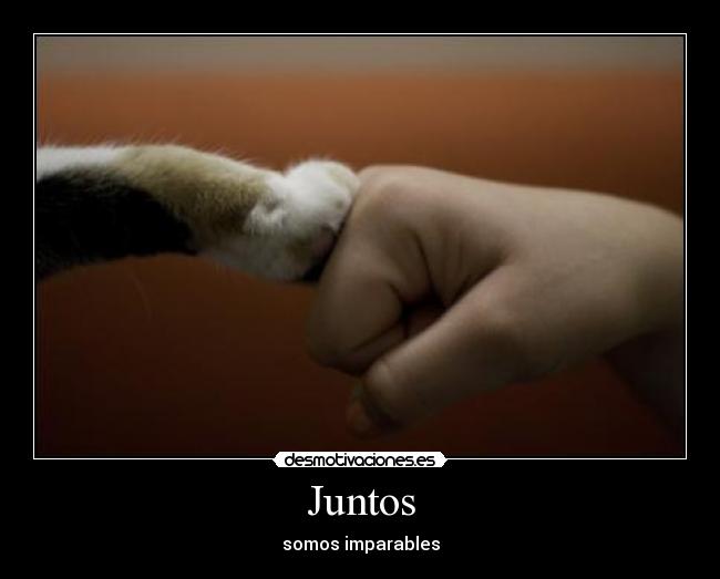 Juntos - 