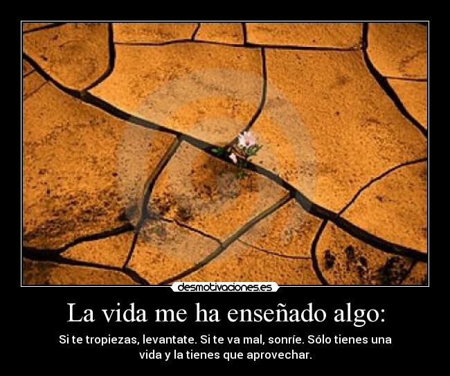 La vida me ha enseñado algo: - Si te tropiezas, levantate. Si te va mal, sonríe. Sólo tienes una
vida y la tienes que aprovechar.