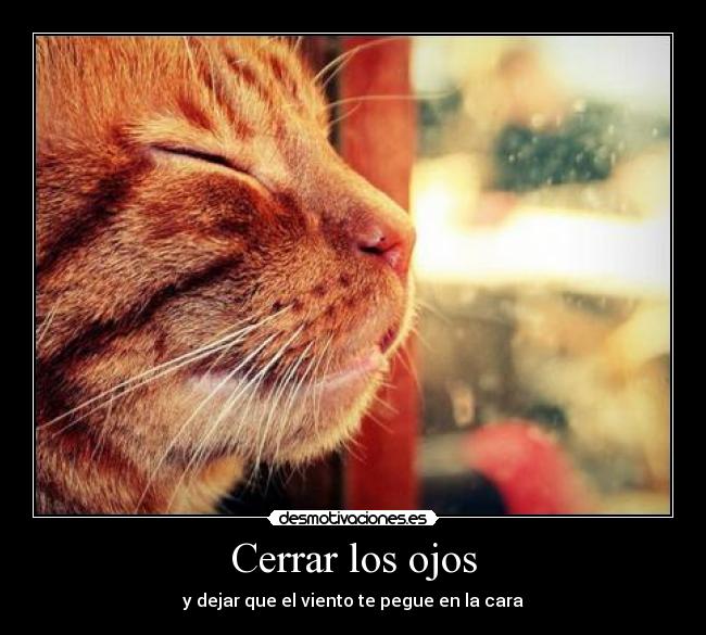 carteles viento desmotivaciones