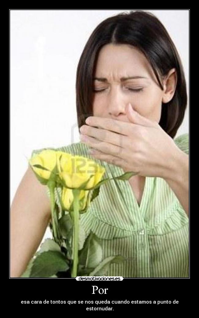 Por - esa cara de tontos que se nos queda cuando estamos a punto de estornudar.