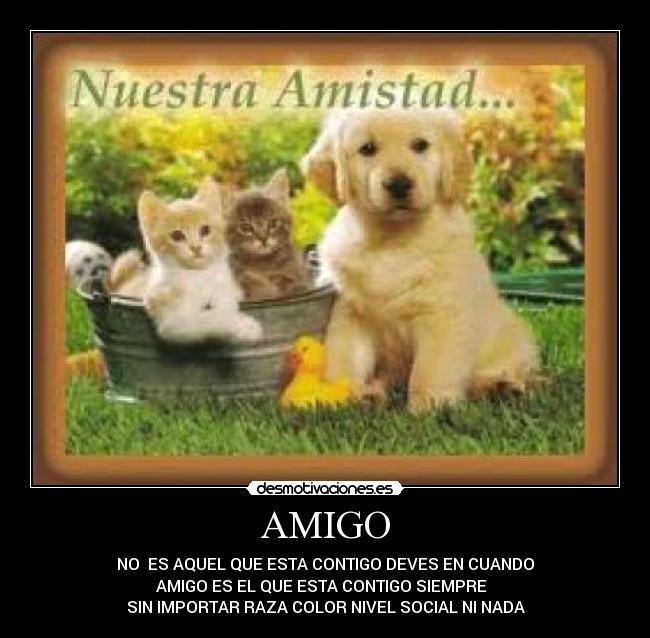 AMIGO - NO ES AQUEL QUE ESTA CONTIGO DEVES EN CUANDO
AMIGO ES EL QUE ESTA CONTIGO SIEMPRE
SIN IMPORTAR RAZA COLOR NIVEL SOCIAL NI NADA
