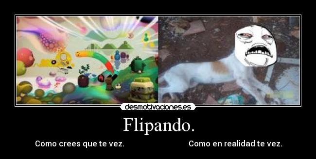 Flipando. - Como crees que te vez. Como en realidad te vez.