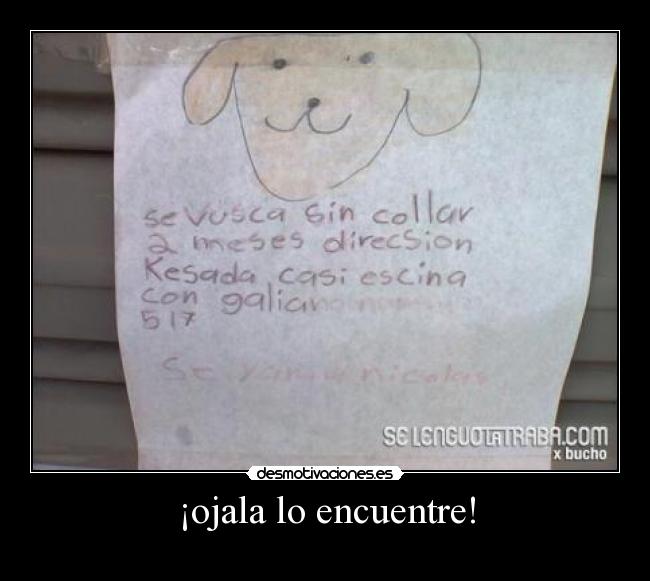 ¡ojala lo encuentre! -
