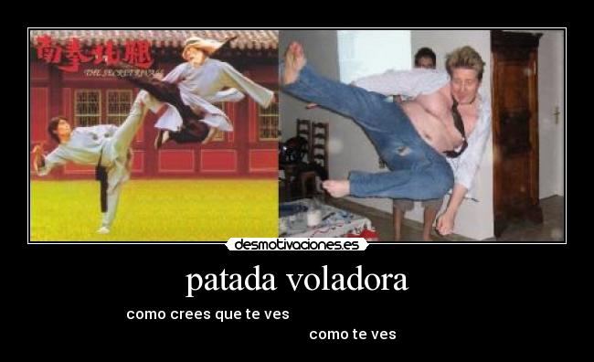 patada voladora -