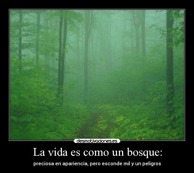 La vida es como un bosque: - preciosa en apariencia, pero esconde mil y un peligros
