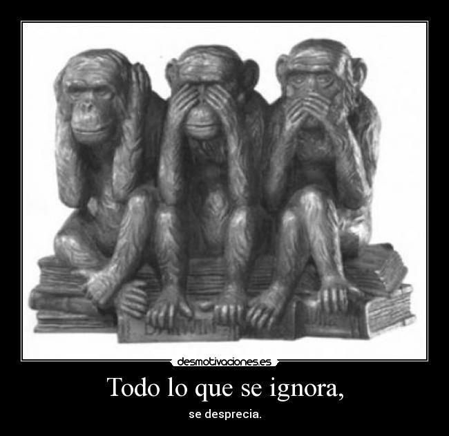Todo lo que se ignora, - 