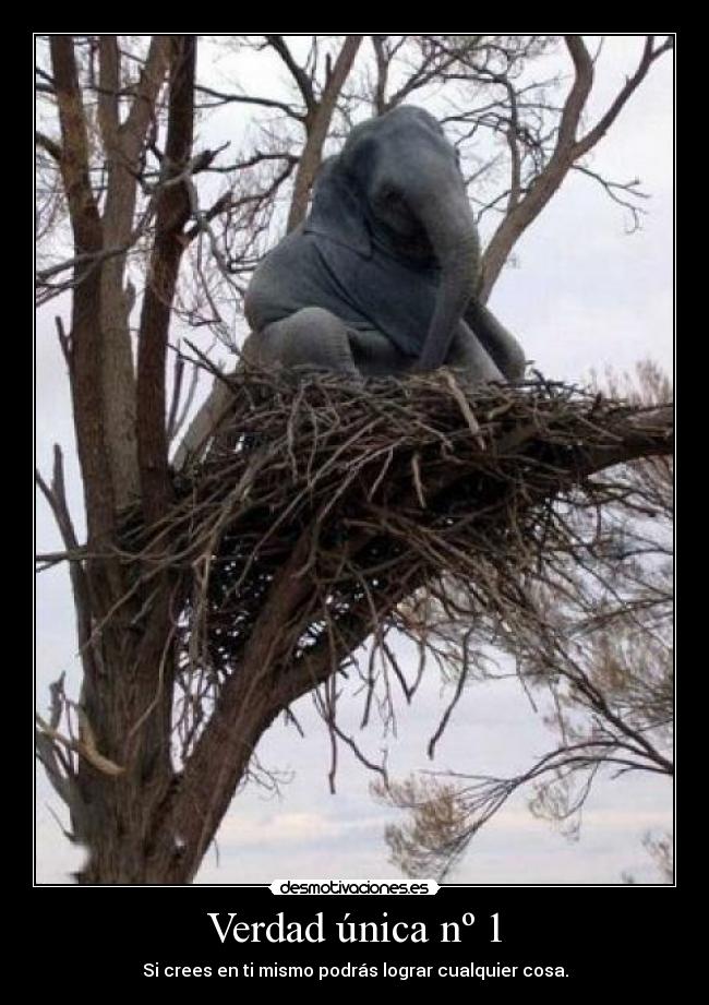 Verdad única nº 1 - Si crees en ti mismo podrás lograr cualquier cosa.