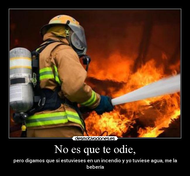 No es que te odie, -