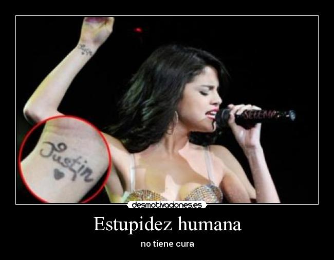 Estupidez humana - no tiene cura