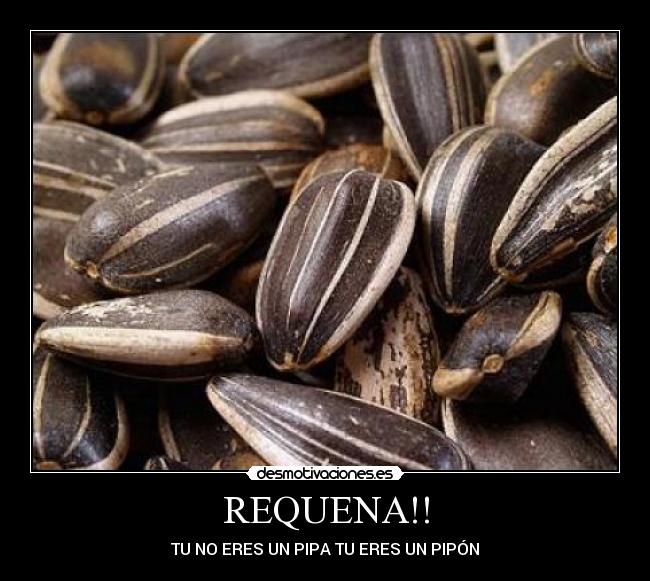 carteles david desmotivaciones