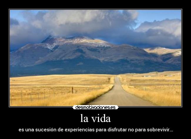 la vida - es una sucesión de experiencias para disfrutar no para sobrevivir...