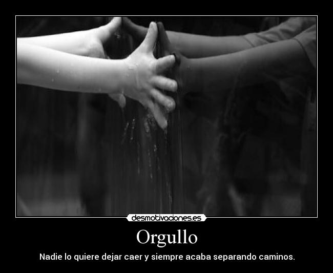 Orgullo -