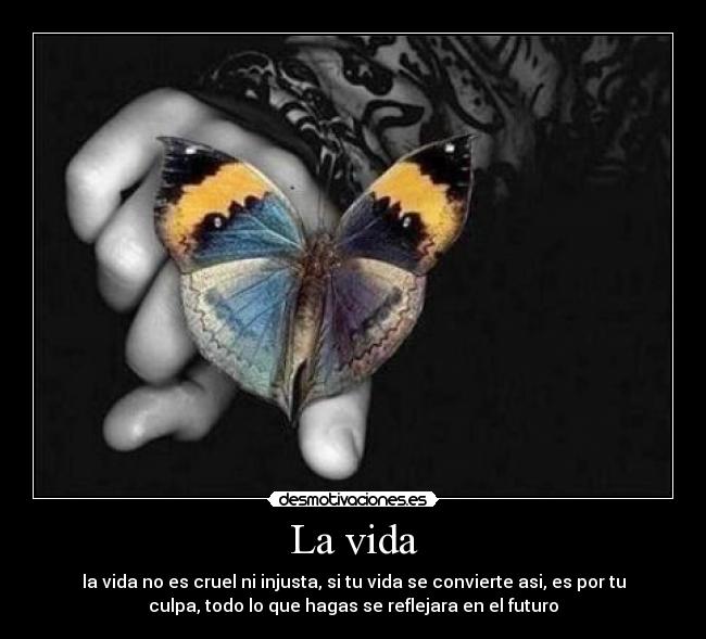 La vida - la vida no es cruel ni injusta, si tu vida se convierte asi, es por tu
culpa, todo lo que hagas se reflejara en el futuro