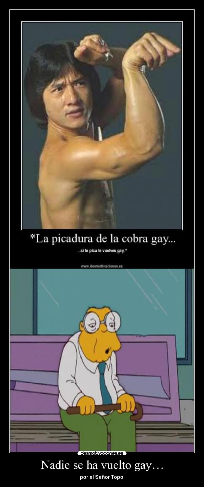 Nadie se ha vuelto gay… - 