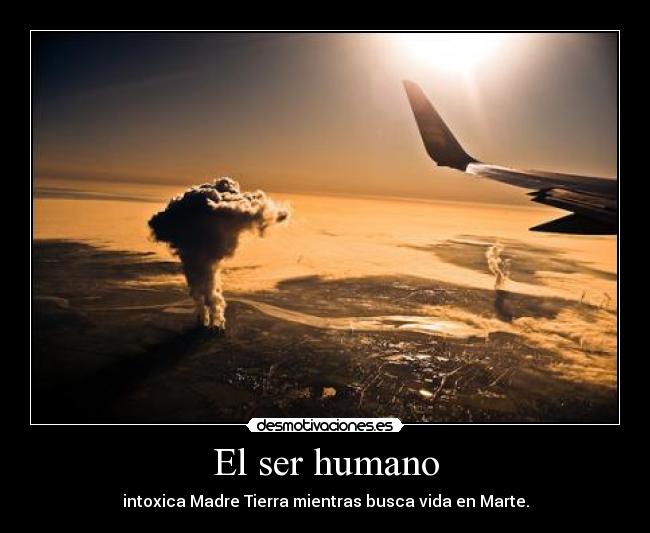 El ser humano -