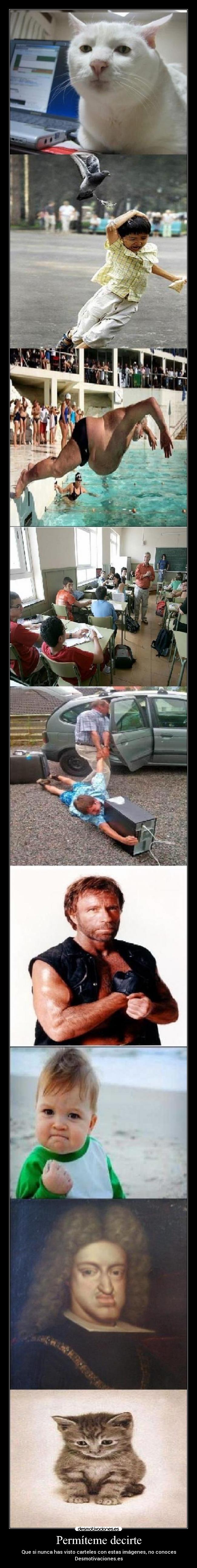 Permíteme decirte -