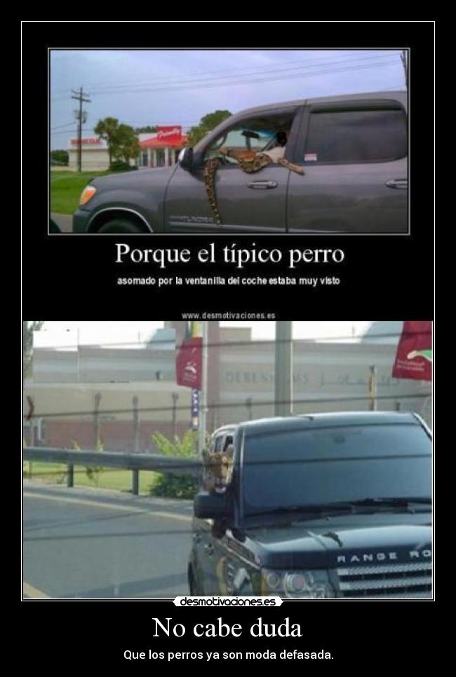 No cabe duda - Que los perros ya son moda defasada.