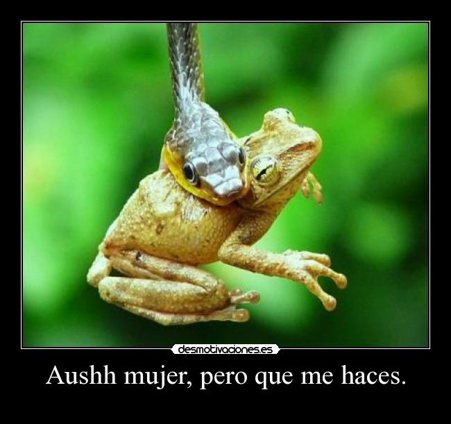 Aushh mujer, pero que me haces. - 