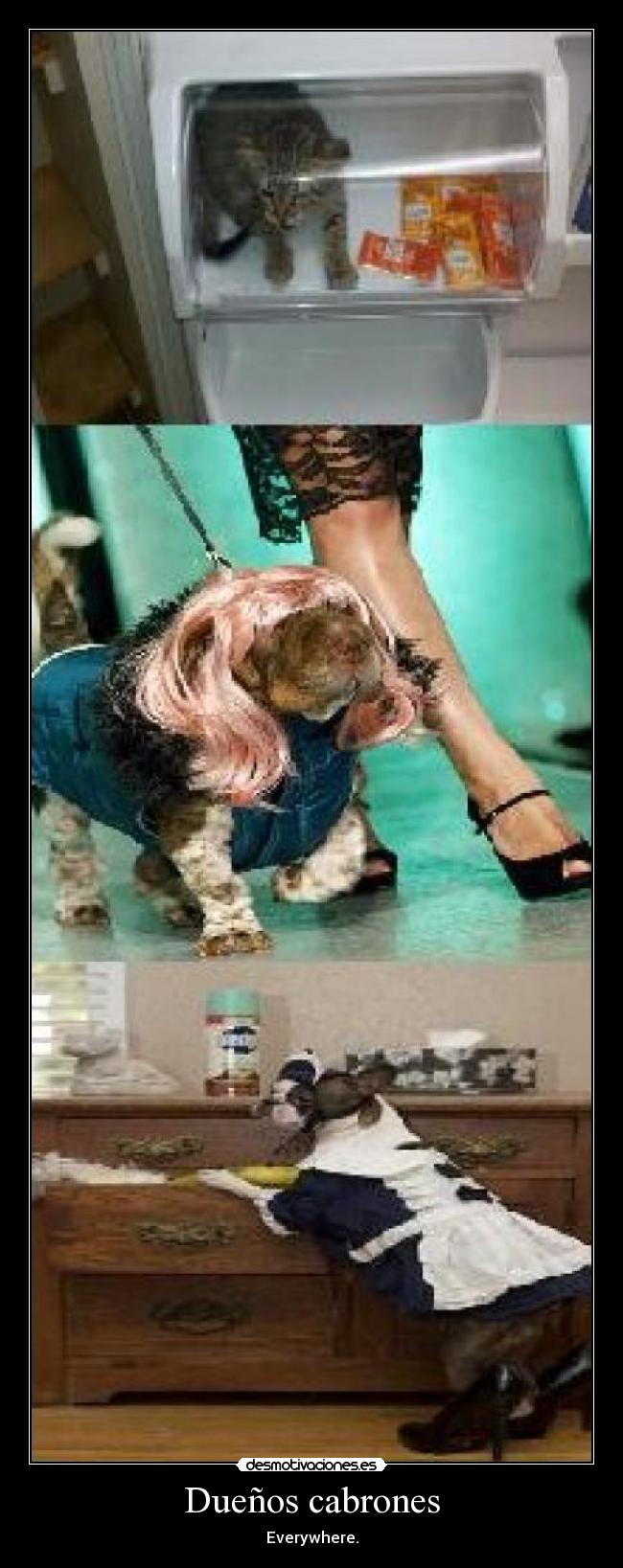 carteles lol desmotivaciones