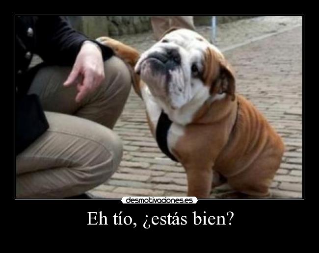 carteles daniattackdec12 desmotivaciones