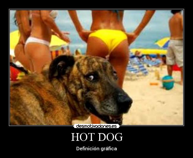 HOT DOG - Definición gráfica