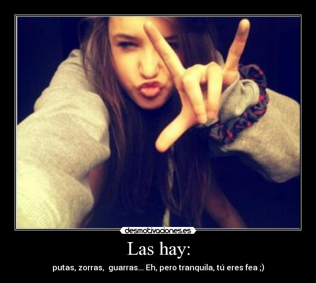 Las hay: - putas, zorras, guarras... Eh, pero tranquila, tú eres fea ;)