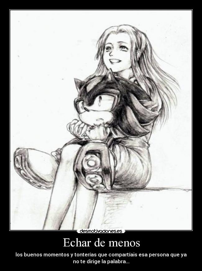 carteles shadowthehedgehog desmotivaciones