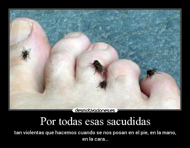 Por todas esas sacudidas - tan violentas que hacemos cuando se nos posan en el pie, en la mano, en la cara...