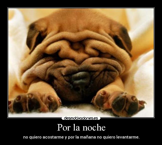 Por la noche - no quiero acostarme y por la mañana no quiero levantarme.