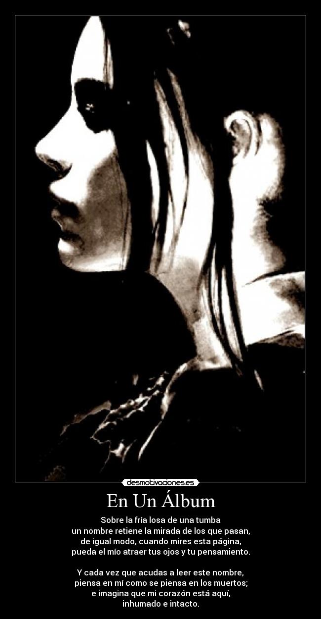 En Un Álbum -