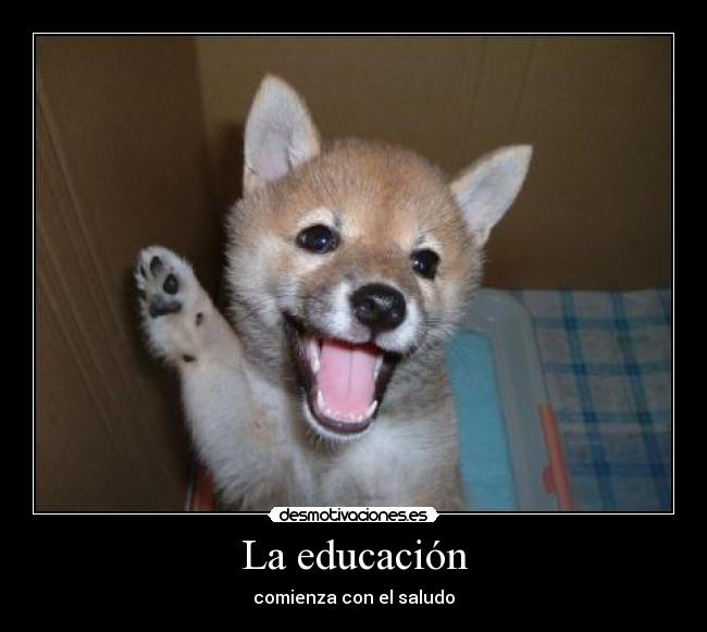 carteles educacionsaludoperroamistad desmotivaciones