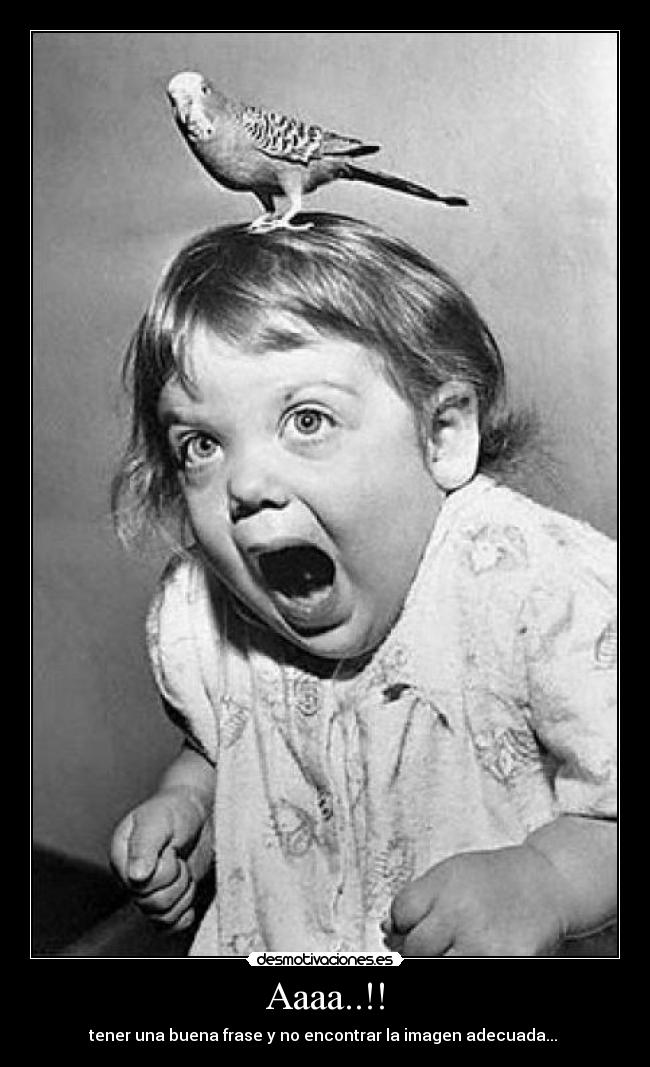 Aaaa..!! - tener una buena frase y no encontrar la imagen adecuada... 