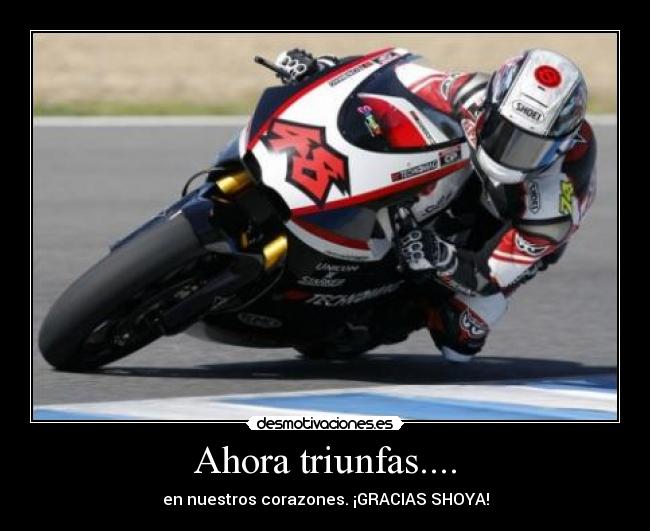 Ahora triunfas.... - en nuestros corazones. ¡GRACIAS SHOYA!