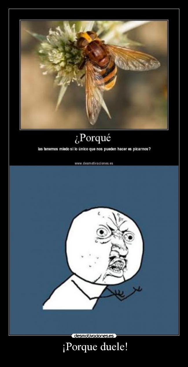 ¡Porque duele! - 