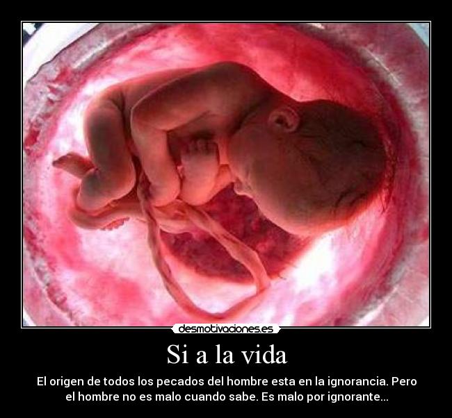 Si a la vida - El origen de todos los pecados del hombre esta en la ignorancia. Pero
el hombre no es malo cuando sabe. Es malo por ignorante...